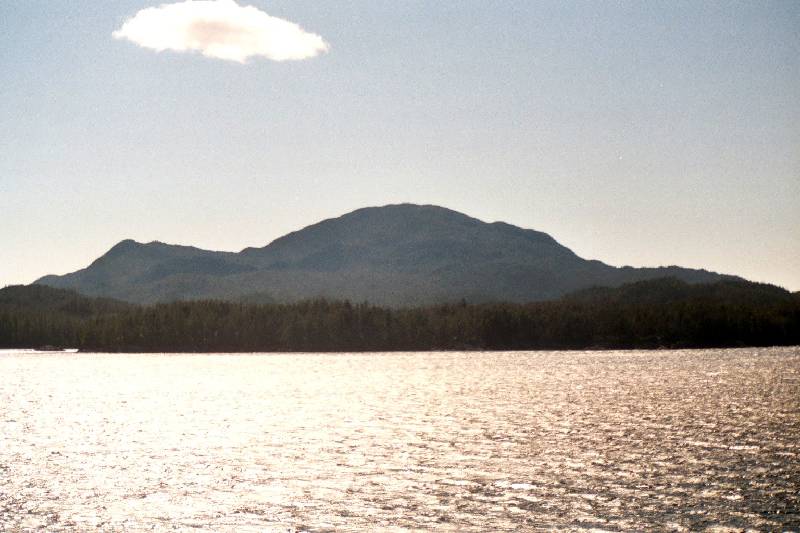 Original image