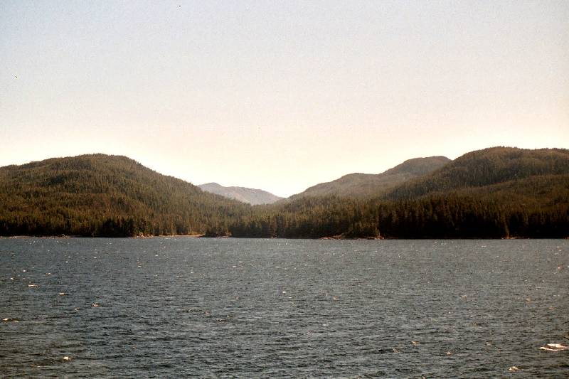 Original image