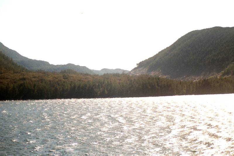 Original image