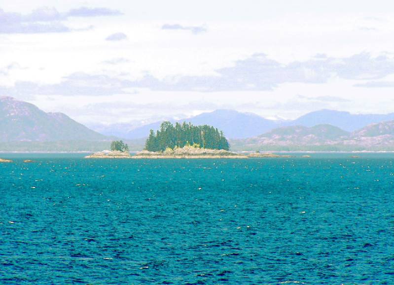Original image