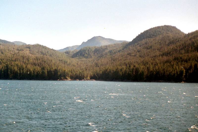 Original image