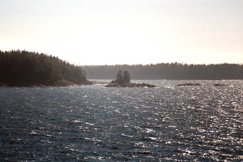 Original image