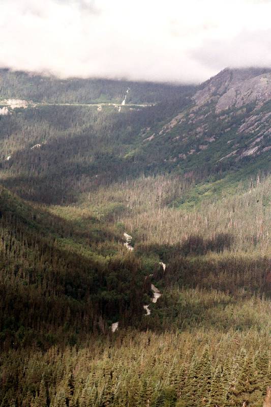 Original image