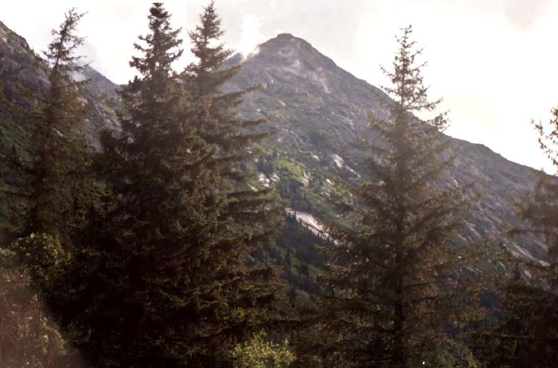 Original image
