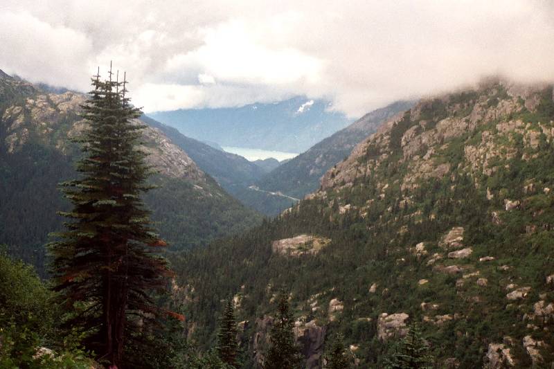 Original image