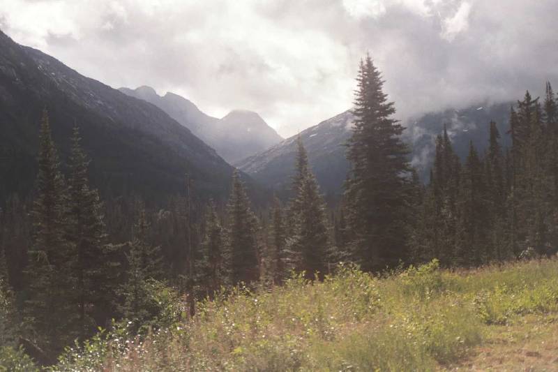 Original image
