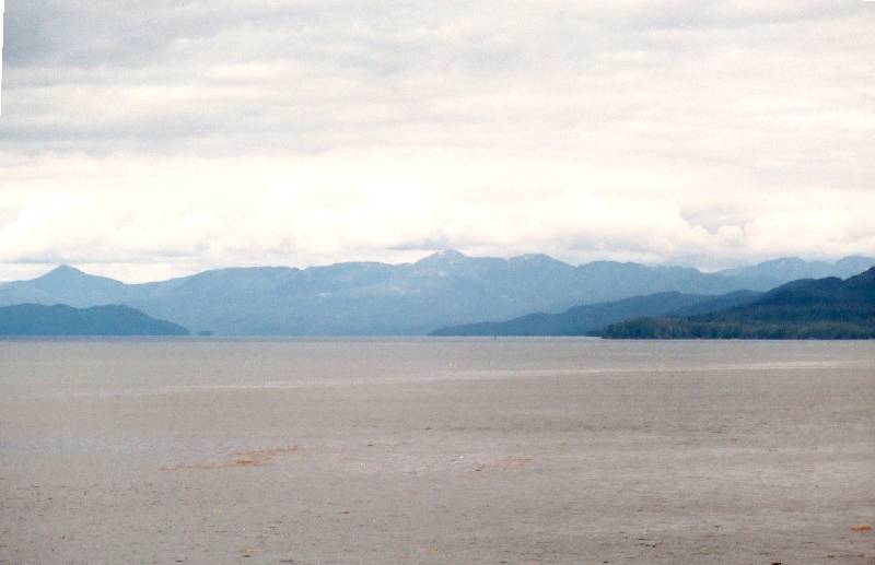 Original image