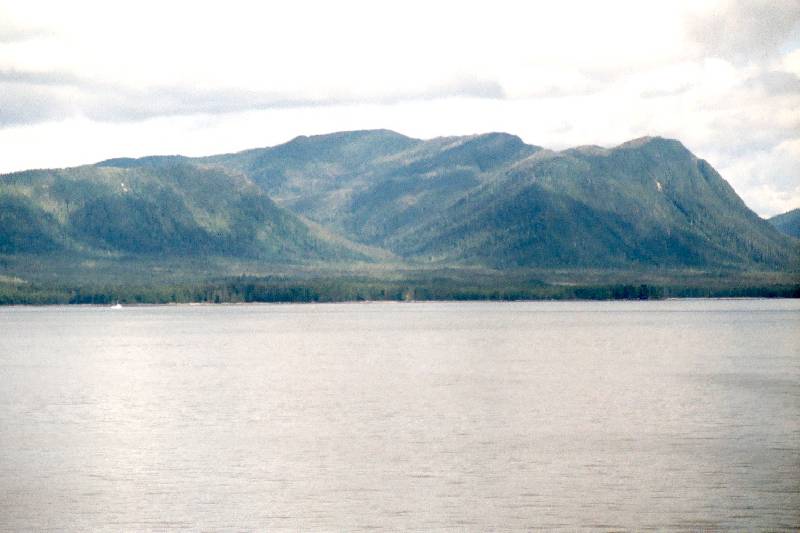 Original image